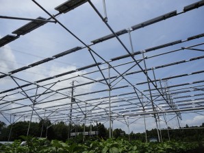 千葉市緑区ソーラシェアリング実証実験場