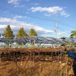 群馬県伊勢崎市ソーラーシェアリング