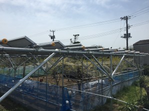 千葉県山武市ソーラーシェアリング